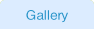 Gallery.