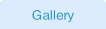 Gallery.